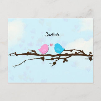 Lovebirds Postcard Postkarte