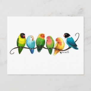 Lovebirds Postkarte