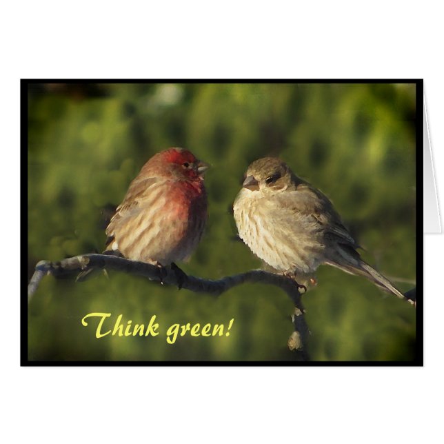 Lovebirds-Tag der Erde (Vorderseite (Horizontal))