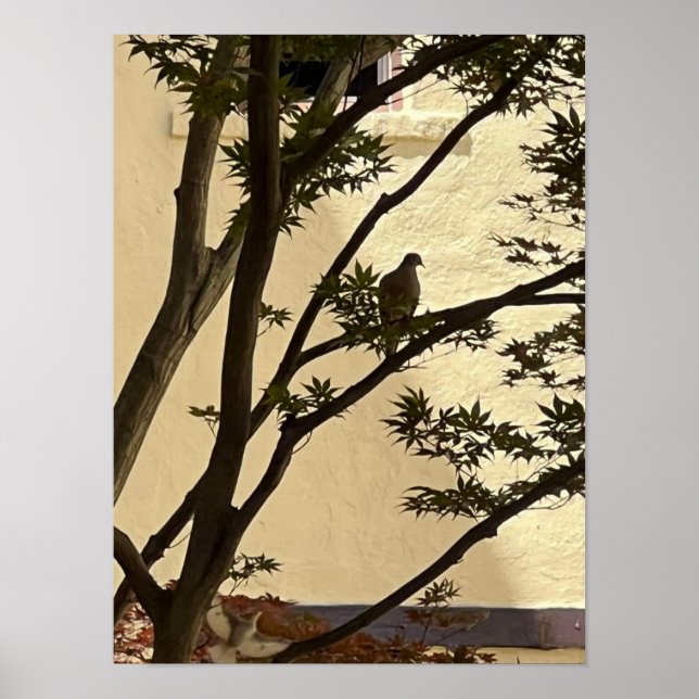 Lovedove-Silhouette Poster (Vorne)