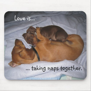 loveis, Liebe ist…,…, Nickerchen zusammen nehmend Mousepad