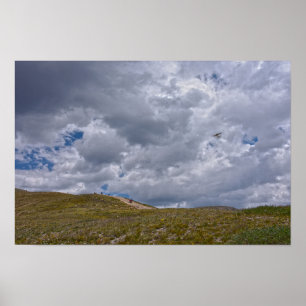Loveland Pass Wanderer, Colorado Poster