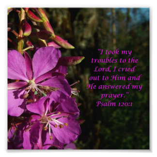 Lovely Blume Scripture Psalm 120:1 Foto Print