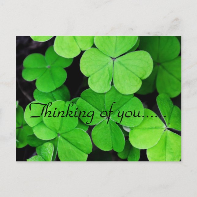 LOVELY CLOVER POSTKARTE (Vorderseite)