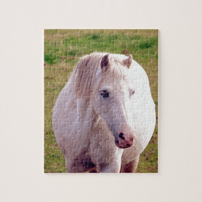 Lovely Gray Pony (Vertikal)