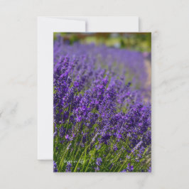 Lovely Lavender Row Mitteilungskarte