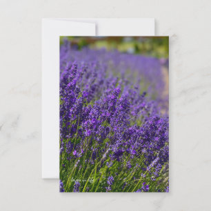 Lovely Lavender Row Mitteilungskarte