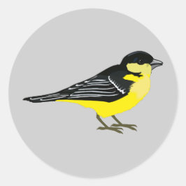 Lovely Lesser Goldfinch Runder Aufkleber