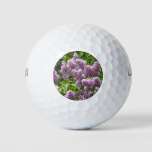 Lovely Lilac Bush Golfball