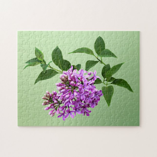 Lovely Lilacs (Horizontal)