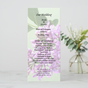 Lovely Lilacs Programm