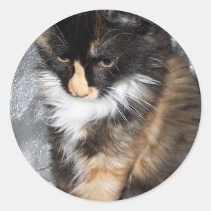 Lovely Lucy Bell Runder Aufkleber