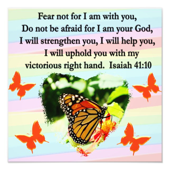 LOVELY ORANGE BUTTERFLY ISAIAH 41:10 DESIGN FOTODRUCK (Vorne)