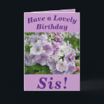 Lovely Pink Floral Birthday Card for Sis Karte<br><div class="desc">Floral birthday card for Sis featuring beautiful purple Primula flowers. Text can easily be personalised as wished.</div>