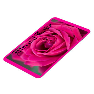 LOVELY PINK ROSE FLORAL MAGNET