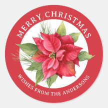 Lovely Red Poinsettia