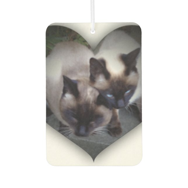 Lovely siamese エアーフレッシュナー autolufterfrischer (Vorderseite)