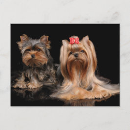 Lovely Two Postkarte