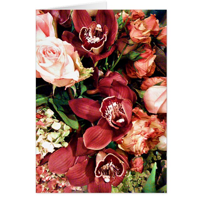 Lover von Orchids_ (Vorne)