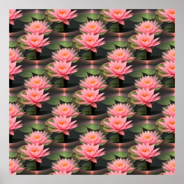 Lovin' Lilies.... Poster (Vorne)