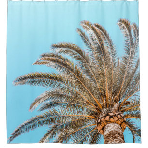 Low-angle-Fotografie einer grünen Palme unter eine Duschvorhang