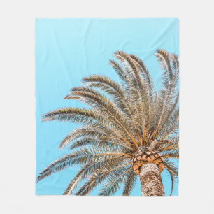 Low-angle-Fotografie einer grünen Palme unter eine Fleecedecke