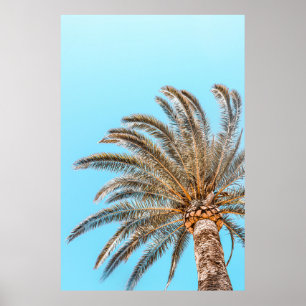 Low-angle-Fotografie einer grünen Palme unter eine Poster