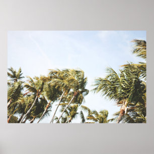 LOW-ANGLE PHOTOGRAPHY OF GREEN COCONUT TREES UNDER POSTER