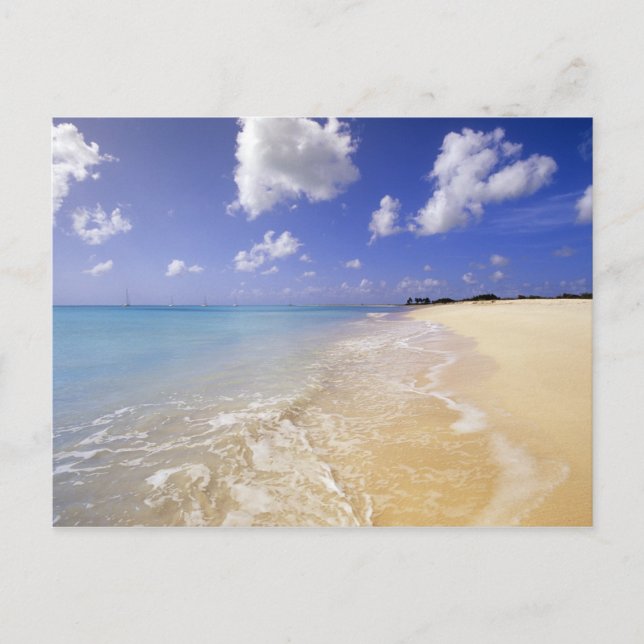 Low Bay Beach, Barbuda, Antigua Postkarte (Vorderseite)