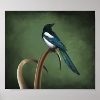 Low-Key Magpie Print Poster
