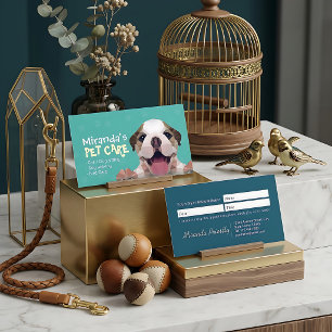 Low Poly Hundetierpflege Grooming Baden Futtersalo Terminkarte
