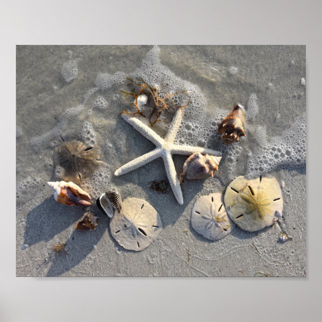 Low Tide Beach Treasures Poster (Vorne)