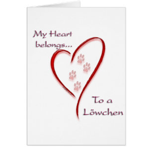 Löwchen Coeur Belongs