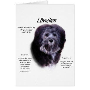 Löwchen History Design