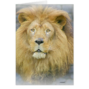Löwe