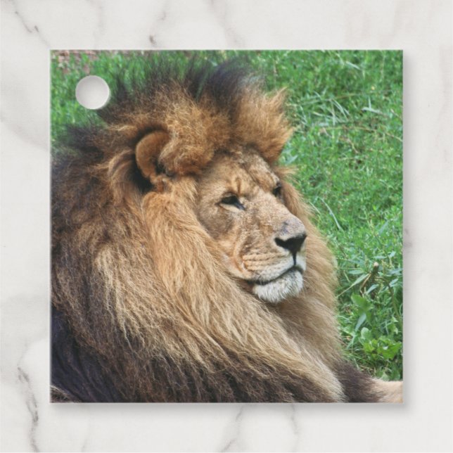 Löwe 001 geschenkanhänger (Vorderseite)