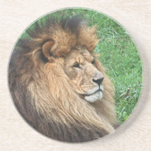 Löwe 001 getränkeuntersetzer