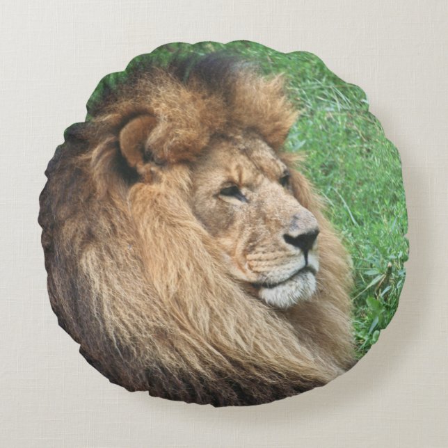 Löwe 001 rundes kissen (Vorderseite)