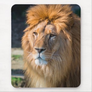 Löwe 013 mousepad