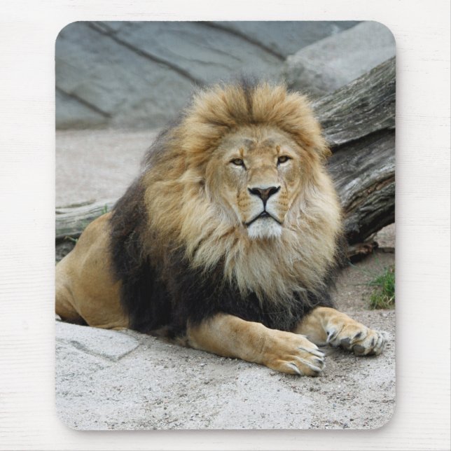 Löwe 020 mousepad (Vorne)
