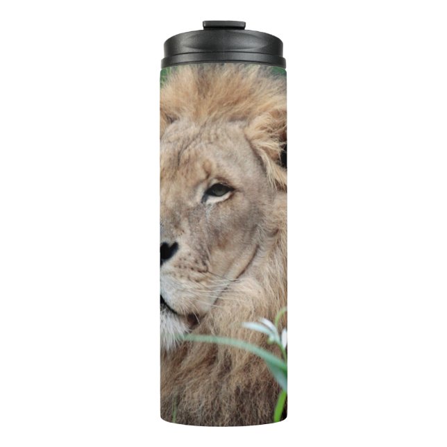 Löwe 021 thermosbecher (Vorderseite)