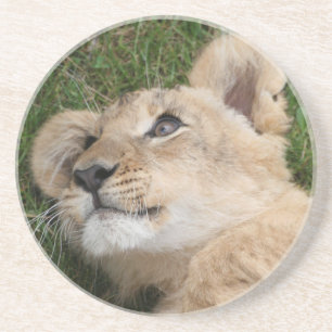 Löwe 022 getränkeuntersetzer