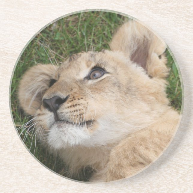 Löwe 022 getränkeuntersetzer (Vorne)