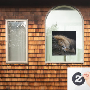 Löwe 030 fensteraufkleber