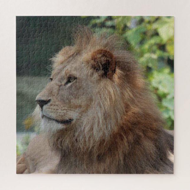 Löwe 035 (Vertikal)