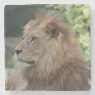 Löwe 035 steinuntersetzer