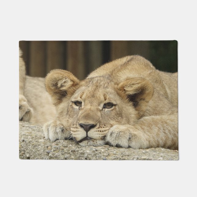 Löwe 040 fußmatte (Vorderseite)