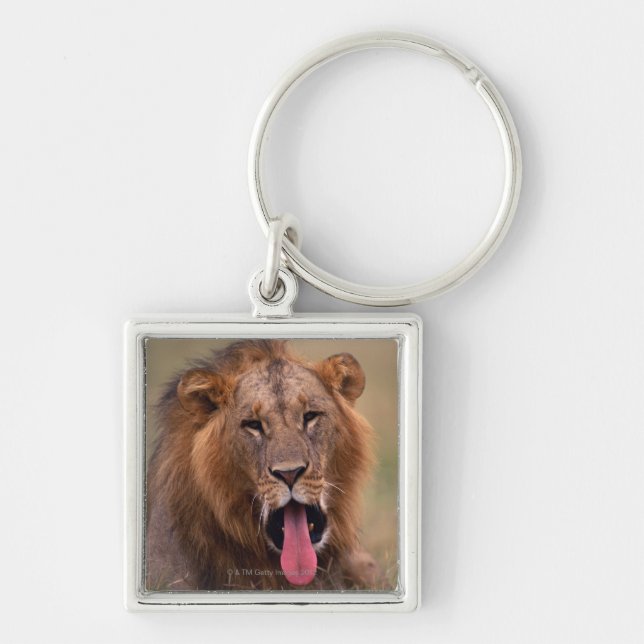 Löwe 2 schlüsselanhänger (Vorne)