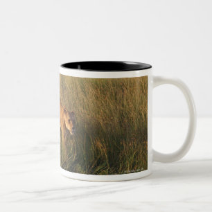 Löwe 2 zweifarbige tasse