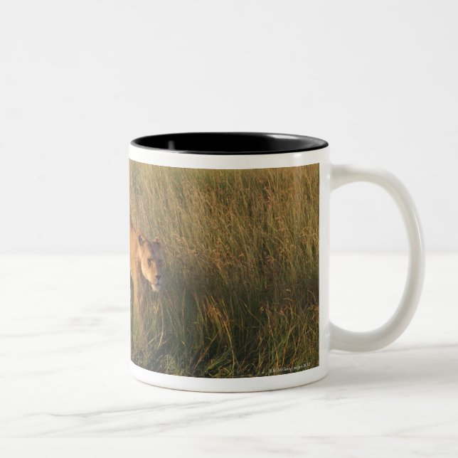 Löwe 2 zweifarbige tasse (Rechts)